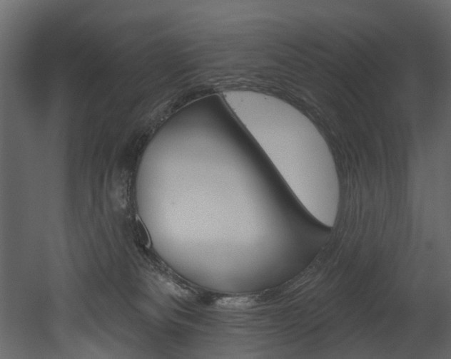 X0000052930133200507080837
