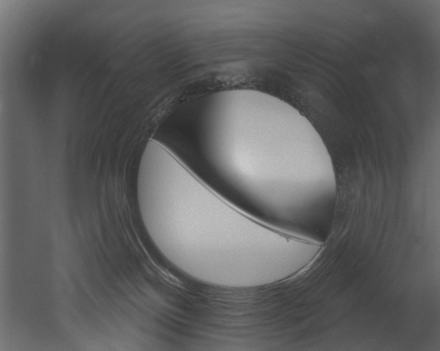 X0000052930136200507080837