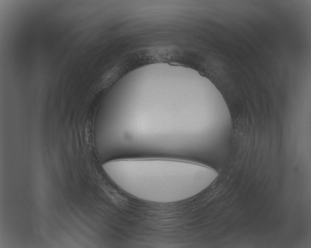X0000052930139200507080836