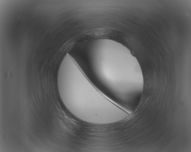 X0000052930140200507080836