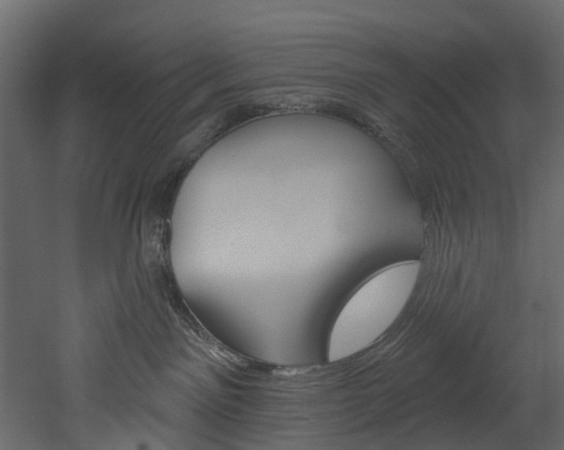 X0000052930141200507080836