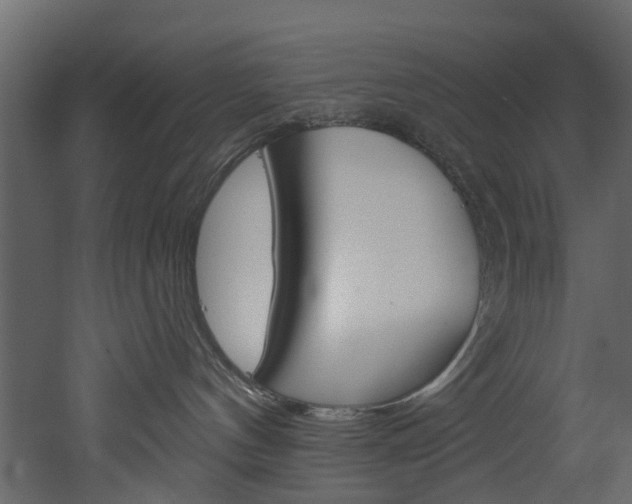 X0000052930144200507080836