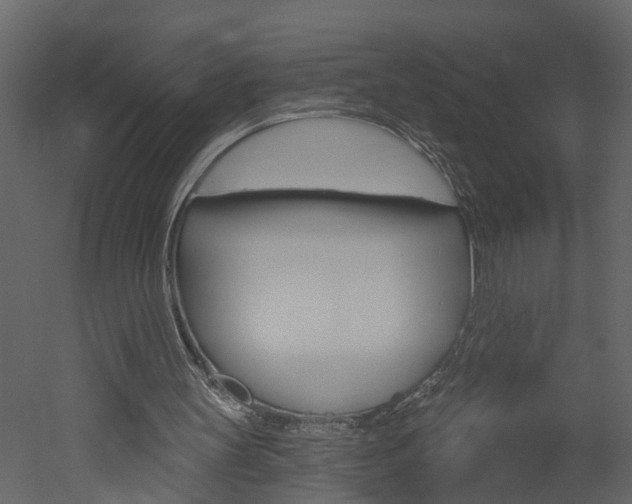 X0000052930147200507080836