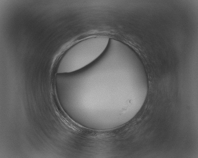 X0000052930149200507080836