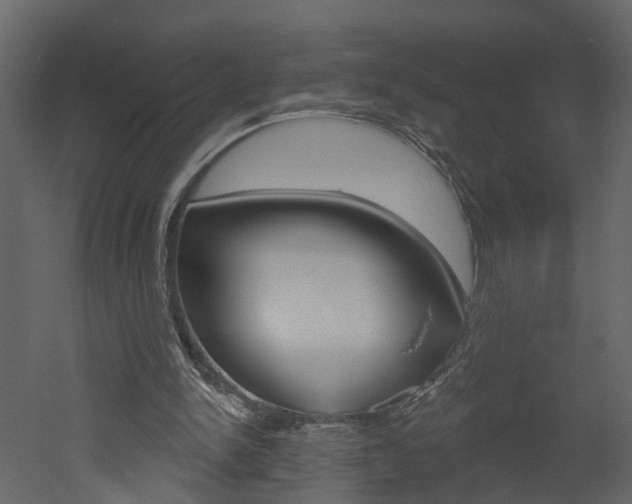 X0000052930150200507080836
