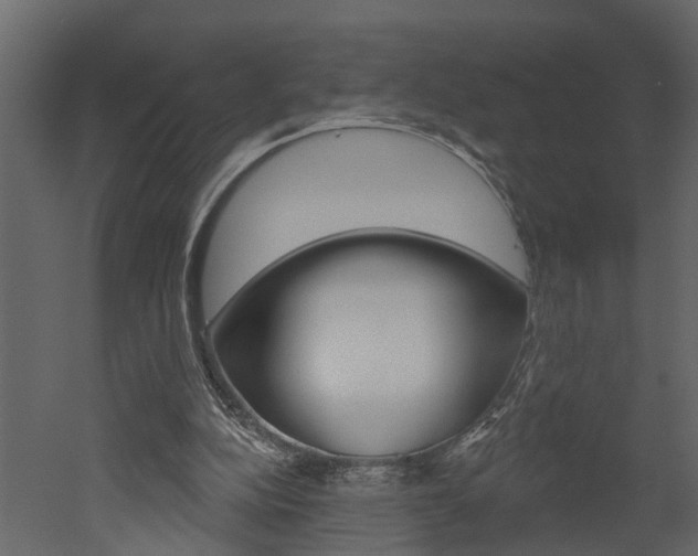 X0000052930152200507080836