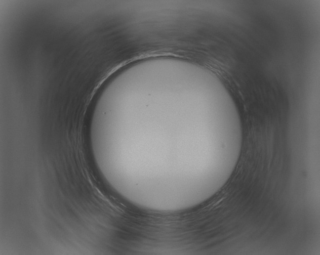 X0000052930156200507080836