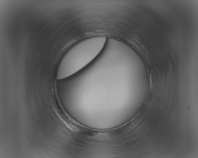 X0000052930157200507080836