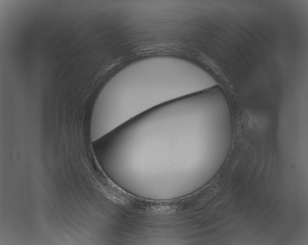 X0000052930161200507080836