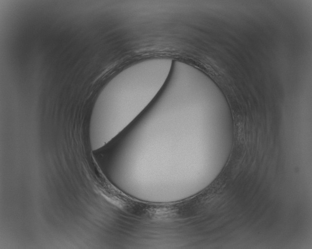 X0000052930165200507080836