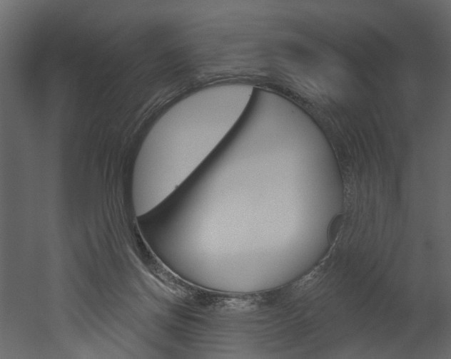 X0000052930166200507080836