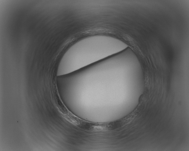 X0000052930167200507080836