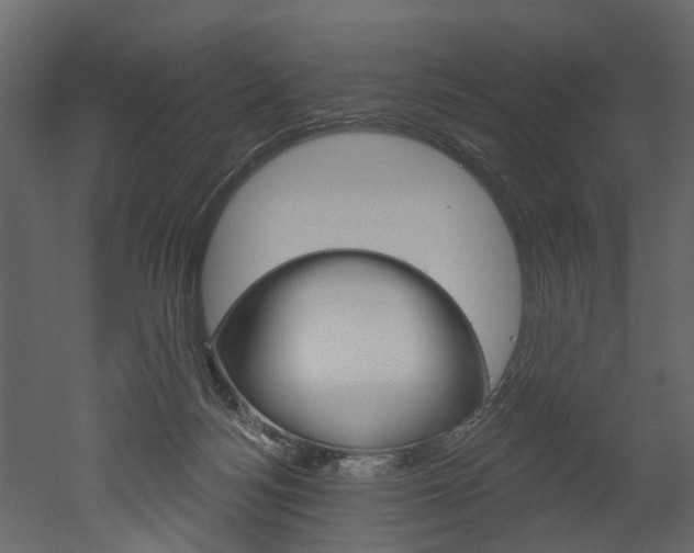 X0000052930172200507080836