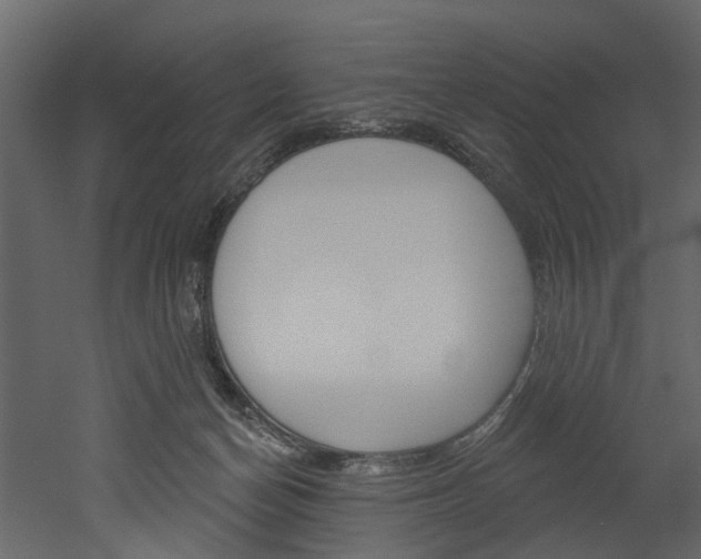 X0000052930174200507080836