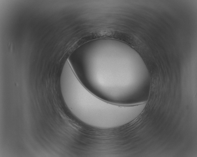 X0000052930176200507080836