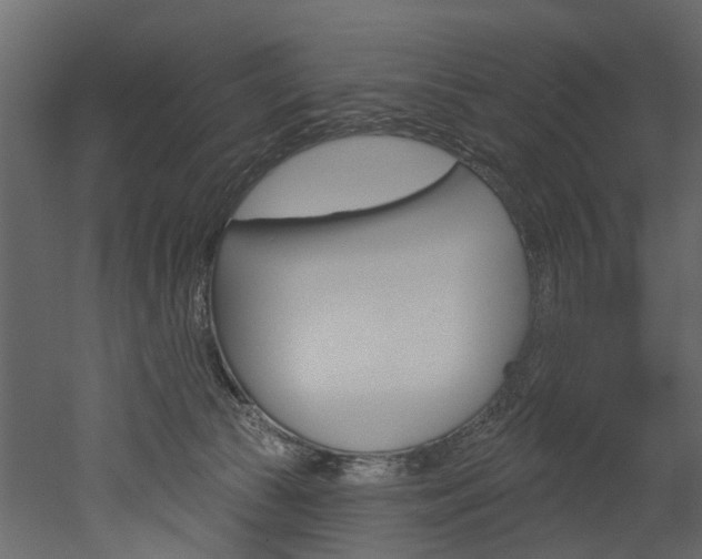 X0000052930177200507080836