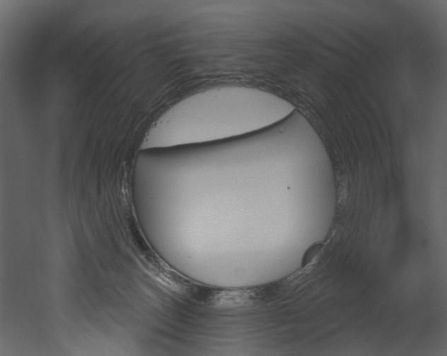 X0000052930179200507080836