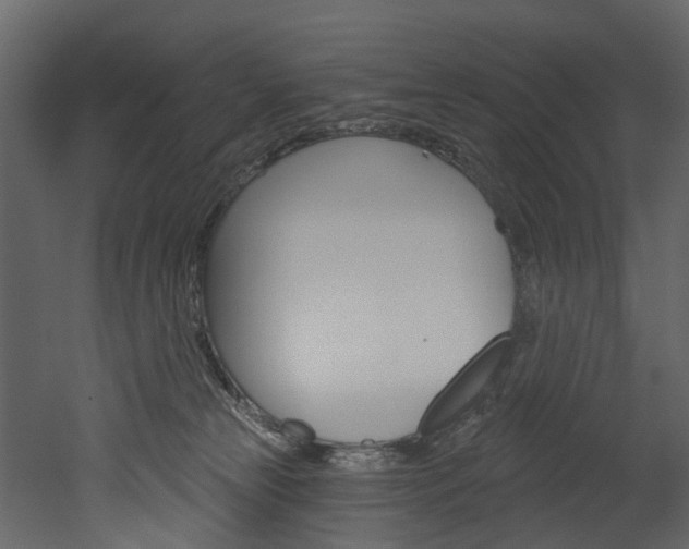 X0000052930181200507080836