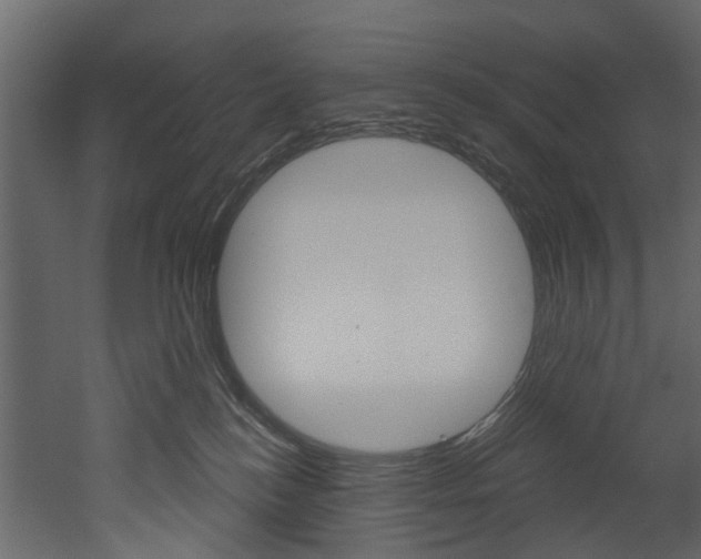 X0000052930184200507080836
