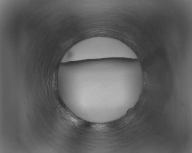 X0000052930189200507080836