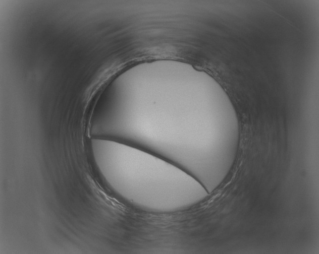 X0000052930194200507080836