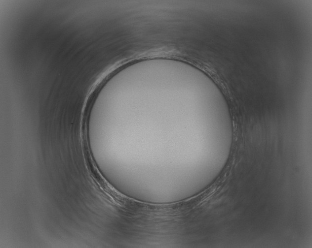 X0000052930196200507080836
