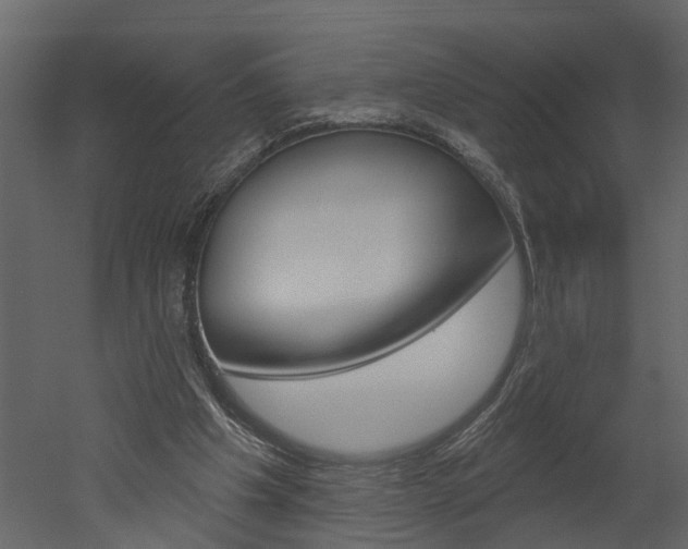 X0000052930201200507080835
