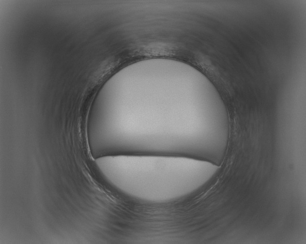 X0000052930202200507080835