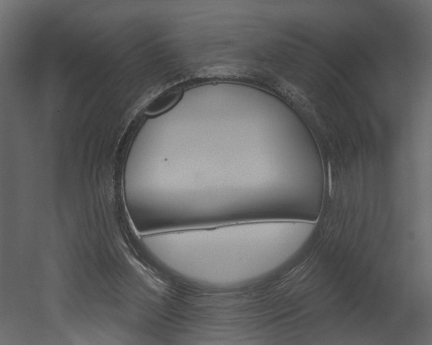 X0000052930204200507080835