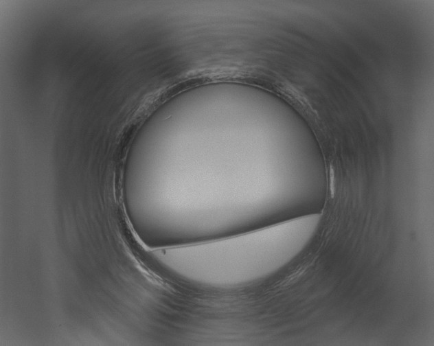 X0000052930205200507080835