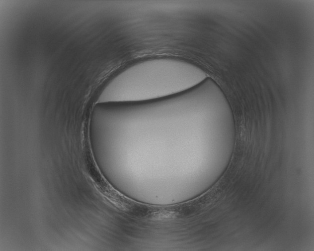 X0000052930206200507080835