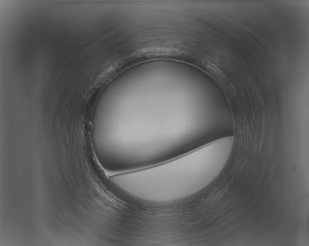 X0000052930207200507080835