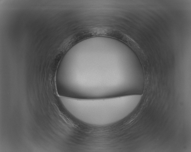 X0000052930209200507080835