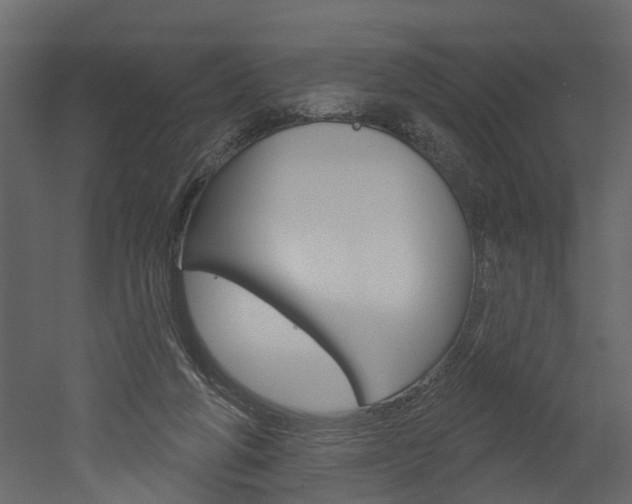 X0000052930210200507080835