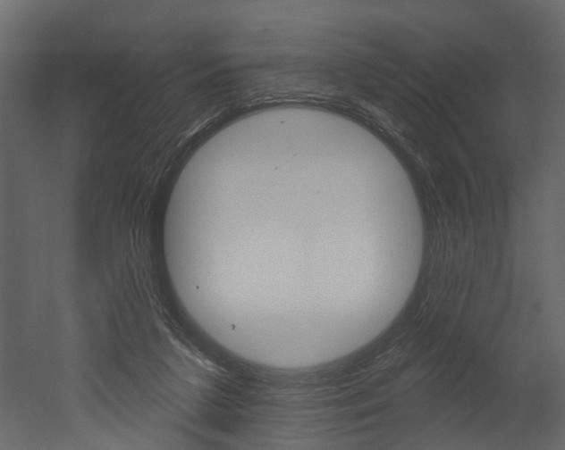 X0000052930211200507080835