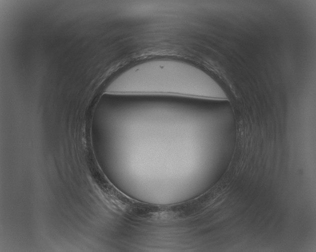 X0000052930212200507080835