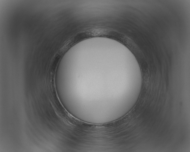 X0000052930214200507080835