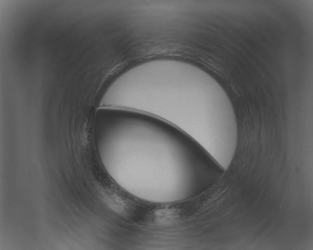 X0000052930216200507080835