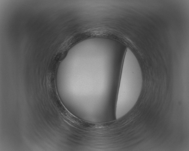 X0000052930217200507080835