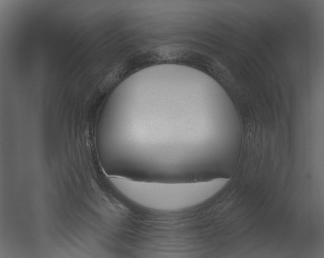 X0000052930220200507080835