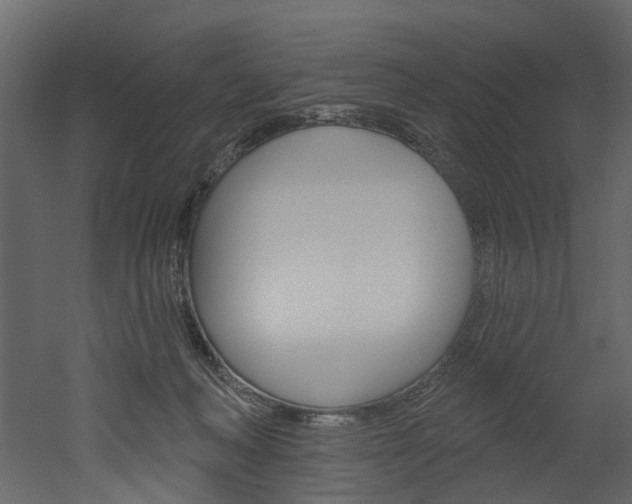 X0000052930222200507080835