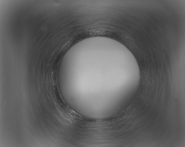 X0000052930224200507080835