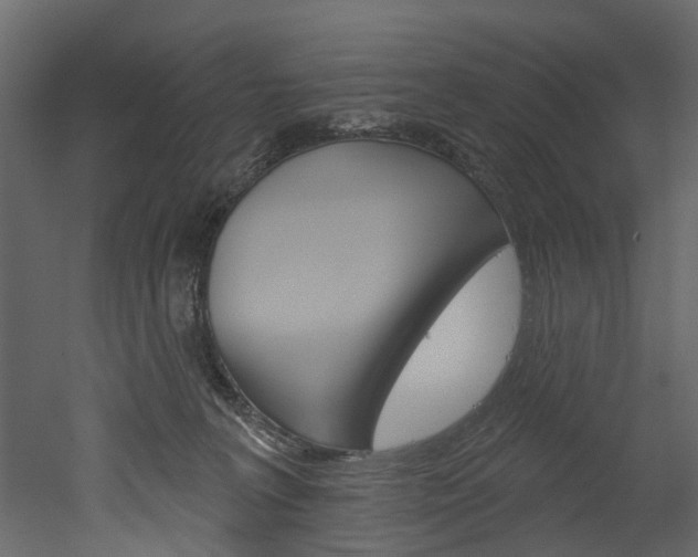 X0000052930227200507080835
