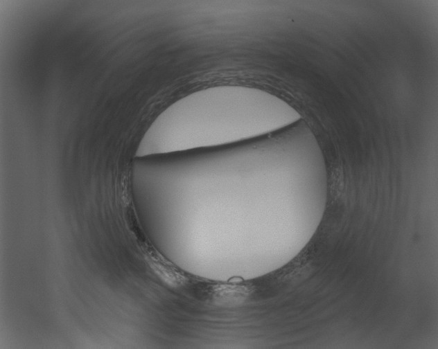 X0000052930234200507080835
