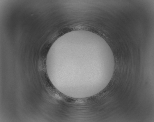 X0000052930236200507080835