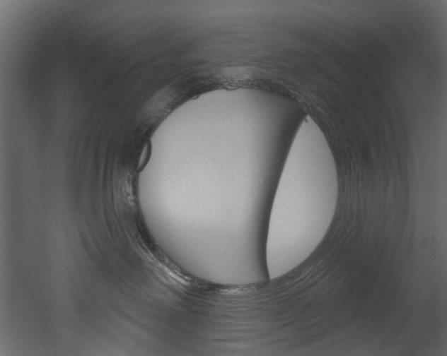 X0000052930238200507080835