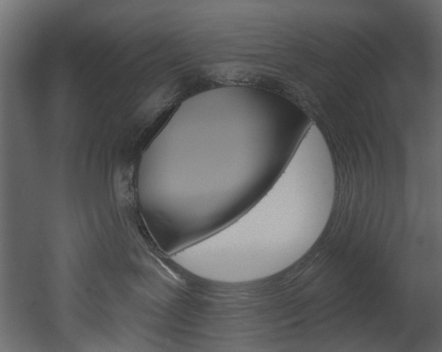 X0000052930239200507080835