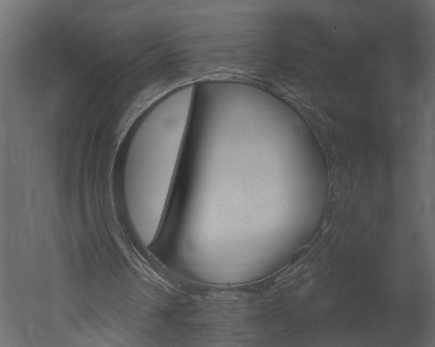 X0000052930242200507080834