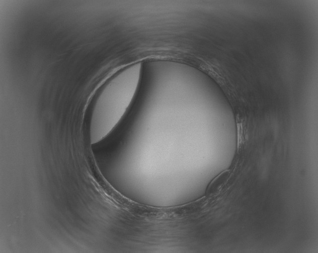 X0000052930243200507080834