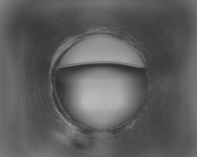X0000052930245200507080834